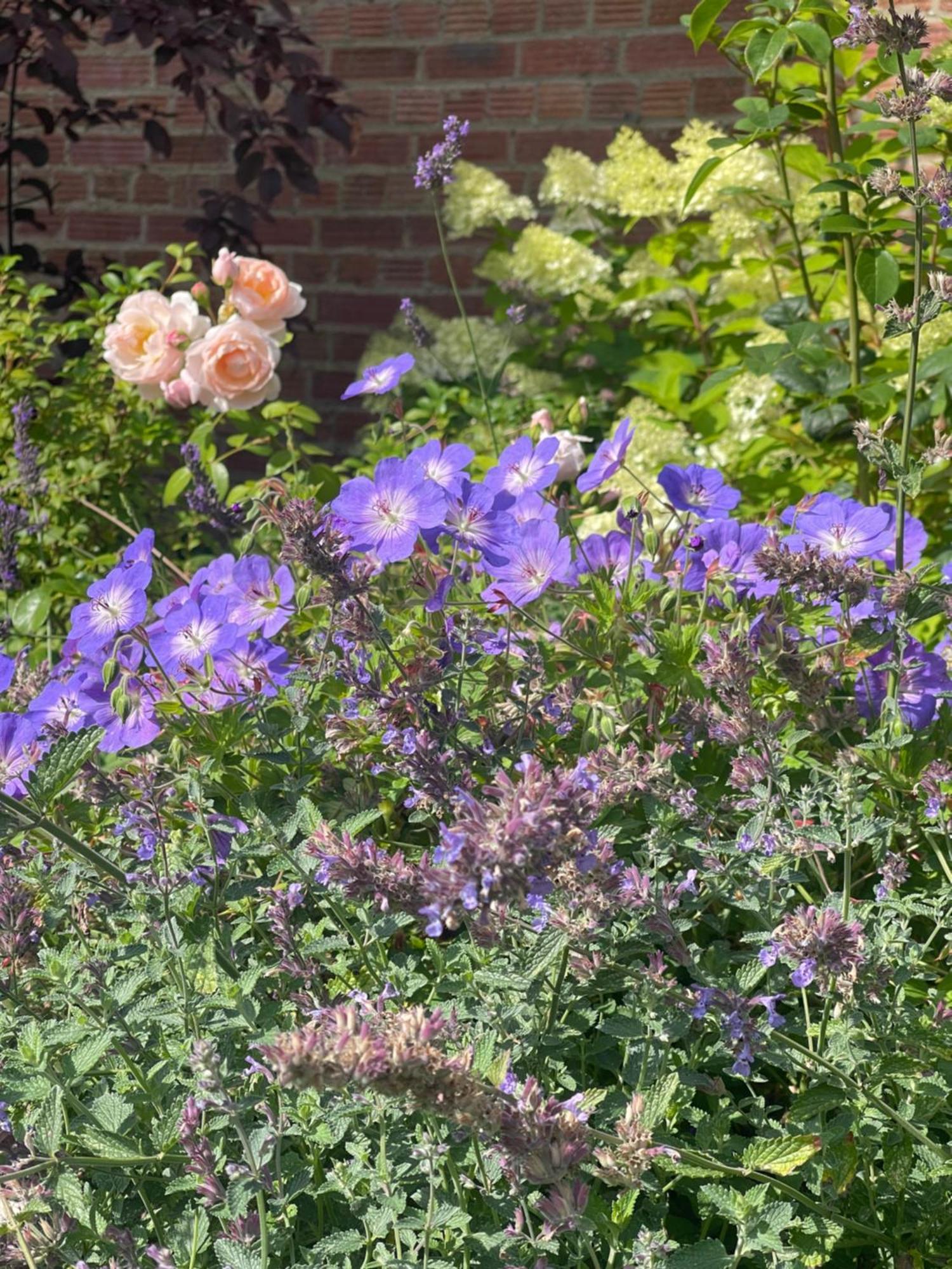 The Coach House Ferienhaus Henley-on-Thames